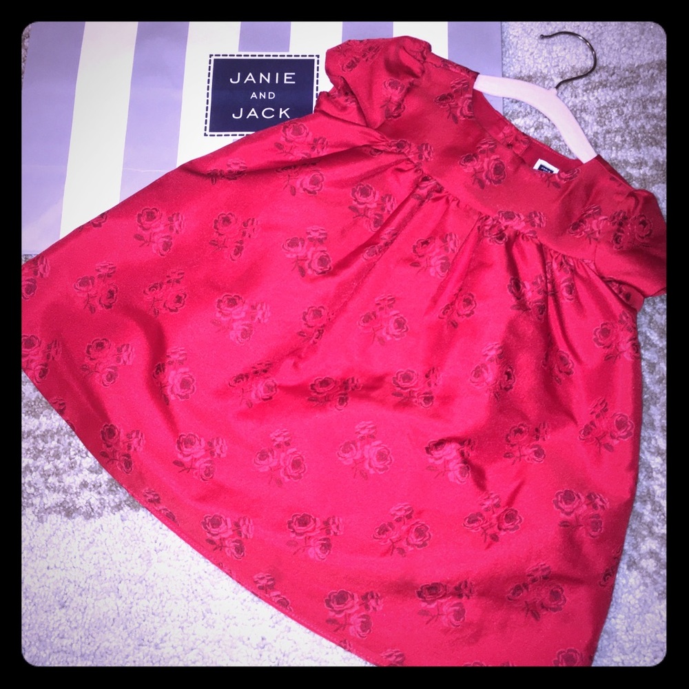 Janie and Jack Jacquard Rose Print dress